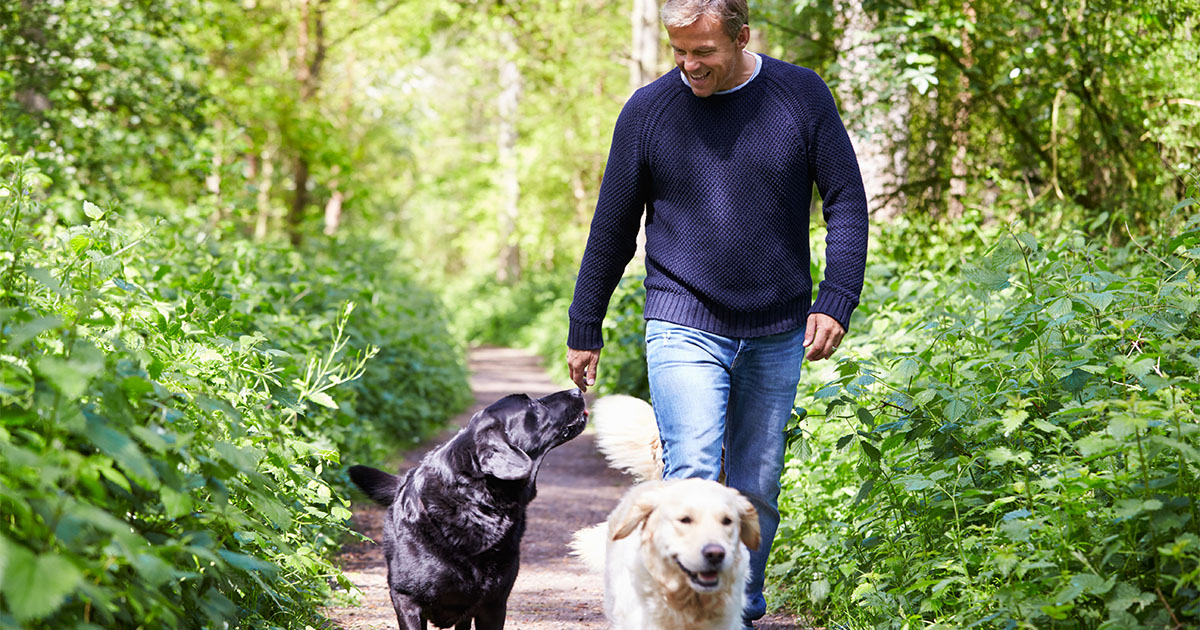 A man walking down a path in a park with his two dogs.