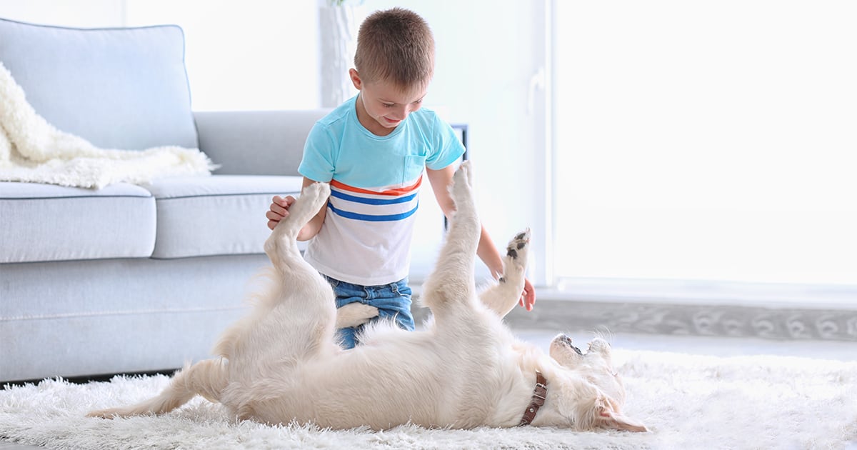 A young boy playing with a dog in front of a couch on the floor.