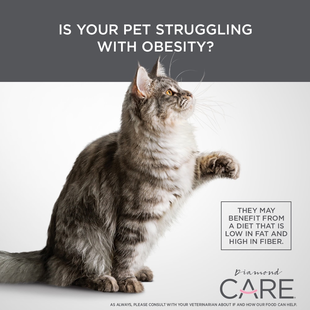 pet struggling with any health issues