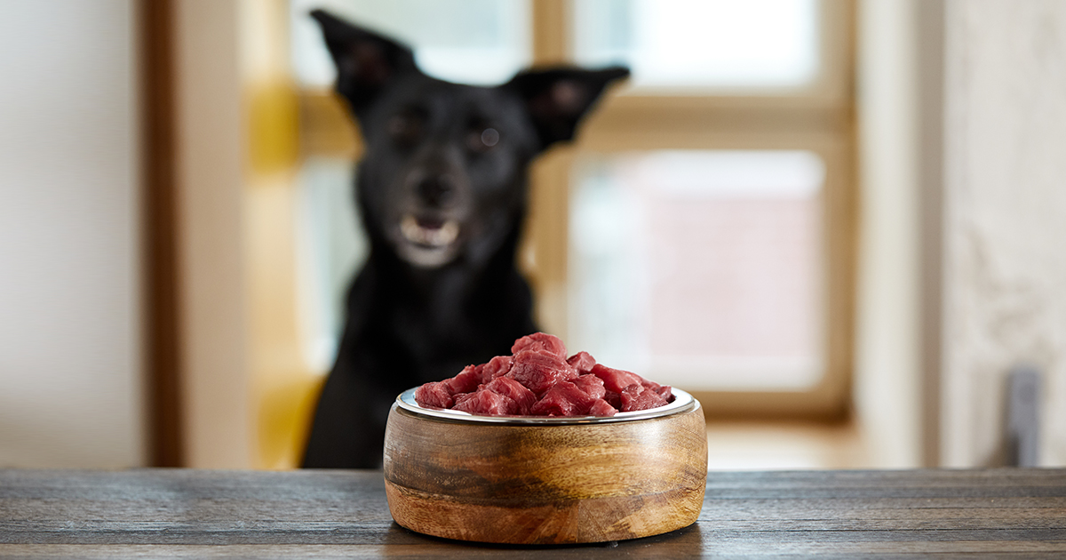 A dog staring at a wooden bowl full of raw meat on a table.