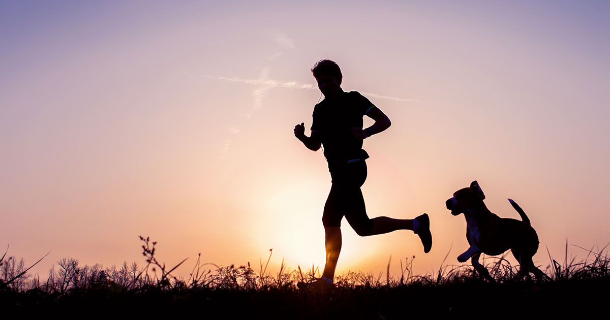 A silhouette of a man jogging with a dog outside in the evening.