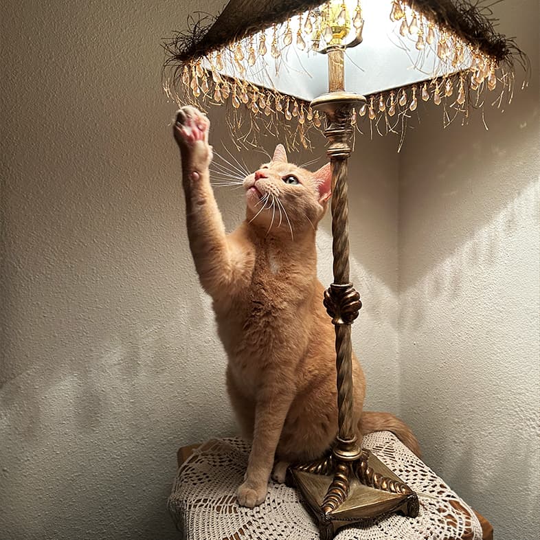 An orange cat sitting on a small nightstand with its paw in the air playing with some hanging beads from a lampshade.