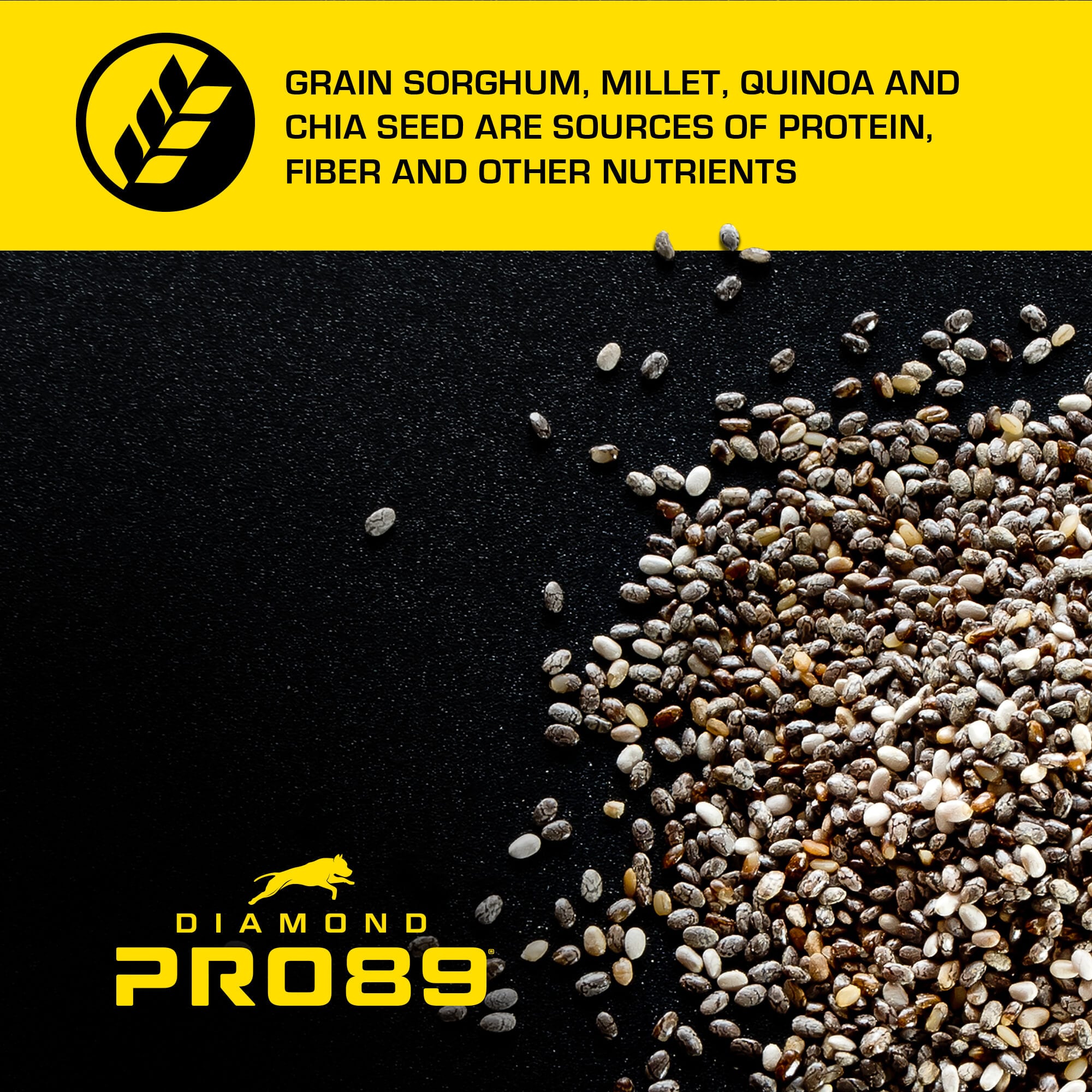A pile of grain sorghum, millet, quinoa and chia seeds on a black surface.