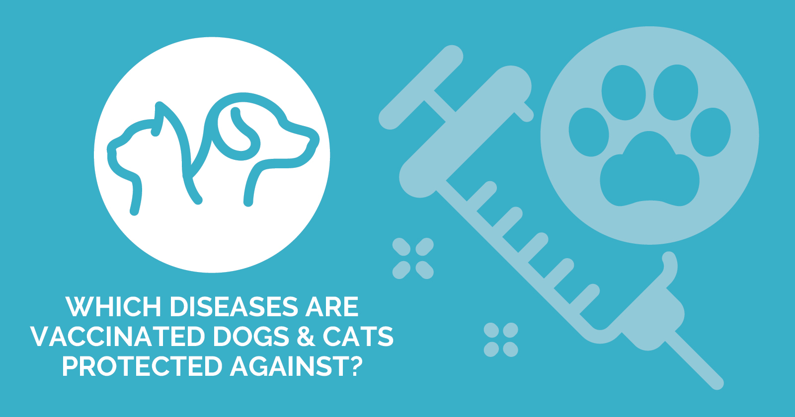 A cartoon graphic depicting a syringe and a paw print next to text that reads, 'Which Diseases are Vaccinated Dogs & Cats Protected Against?'