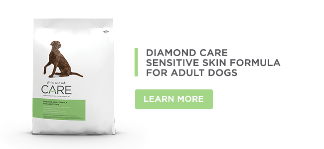 A bag of Diamond CARE Sensitive Skin Formula for Adult Dogs.