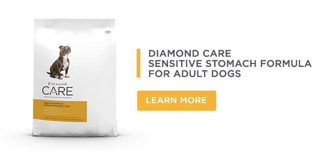 A bag of Diamond CARE Sensitive Stomach Formula for Adult Dogs.