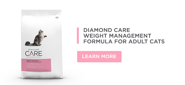 A bag of Diamond CARE Weight Management Formula for Adult Cats.