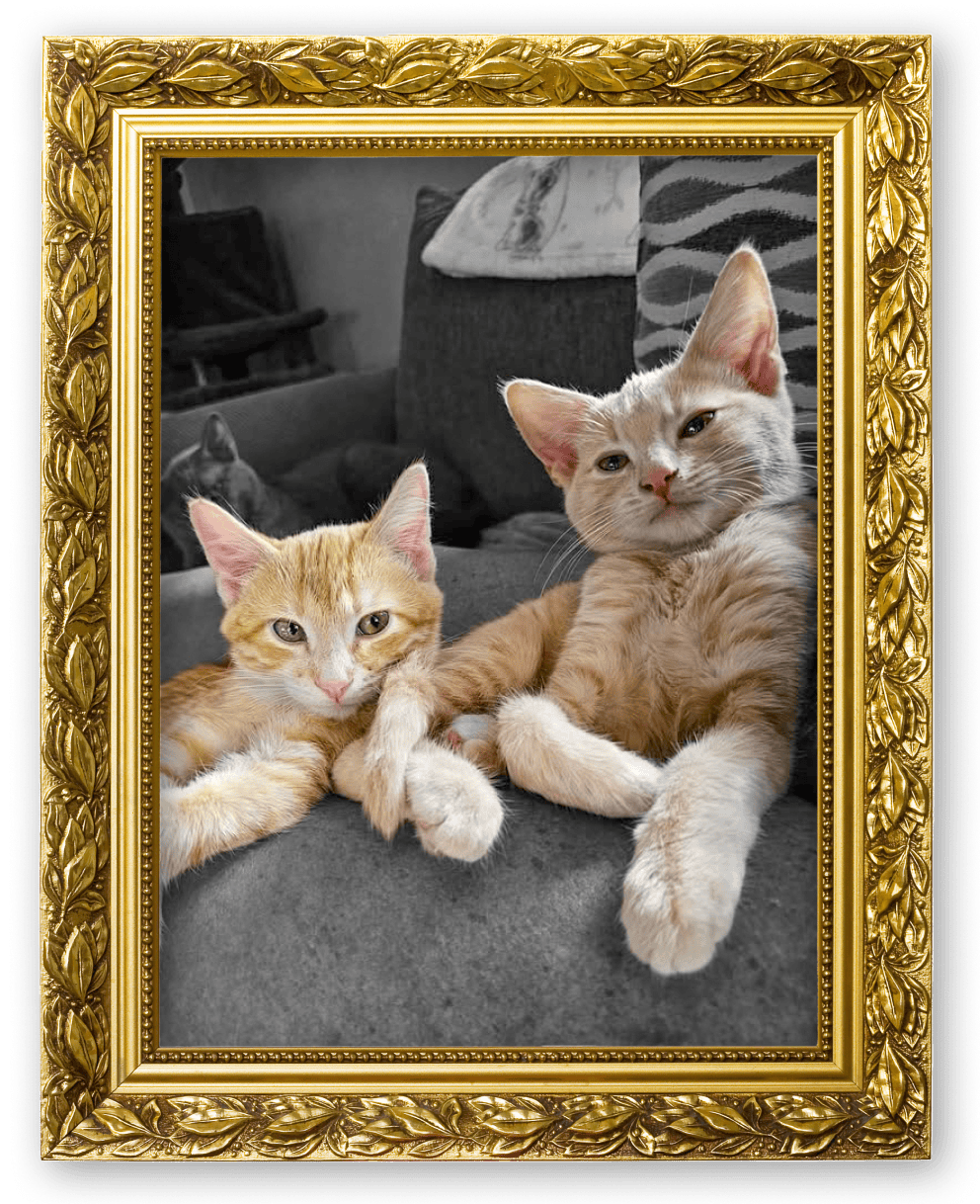 Two cat Besties in a picture frame.